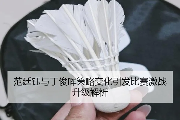 fan-ting-yu-yu-ding-jun-hui-ce-lve-bian-hua-yin-fa-bi-sai-ji-zhan-sheng-ji-jie-xi-2-390.jpg