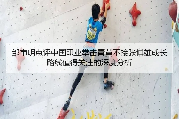 邹市明点评中国职业拳击青黄不接张博雄成长路线值得关注的深度分析