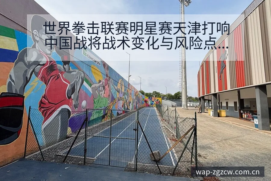 世界拳击联赛明星赛天津打响中国战将战术变化与风险点深度解 - 足彩网