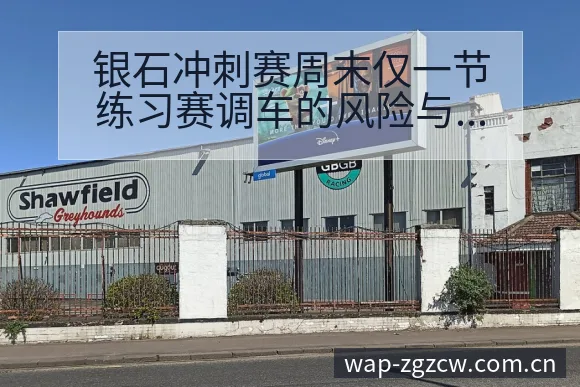 银石冲刺赛周末仅一节练习赛调车的风险与变化观察 - 足彩网